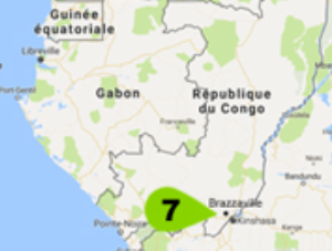 TECHNAP - Congo