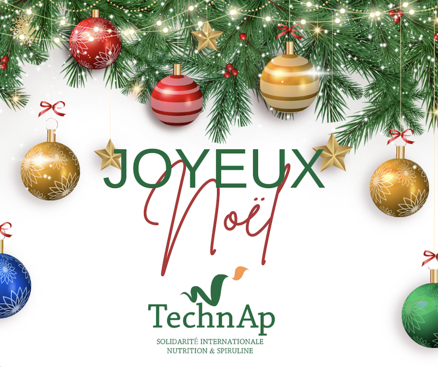 Noel_1.jpeg